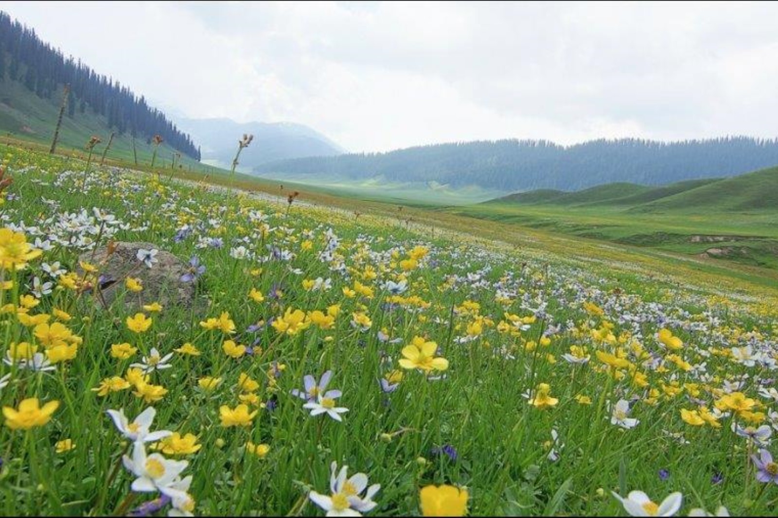 Bangus Valley Kashmir