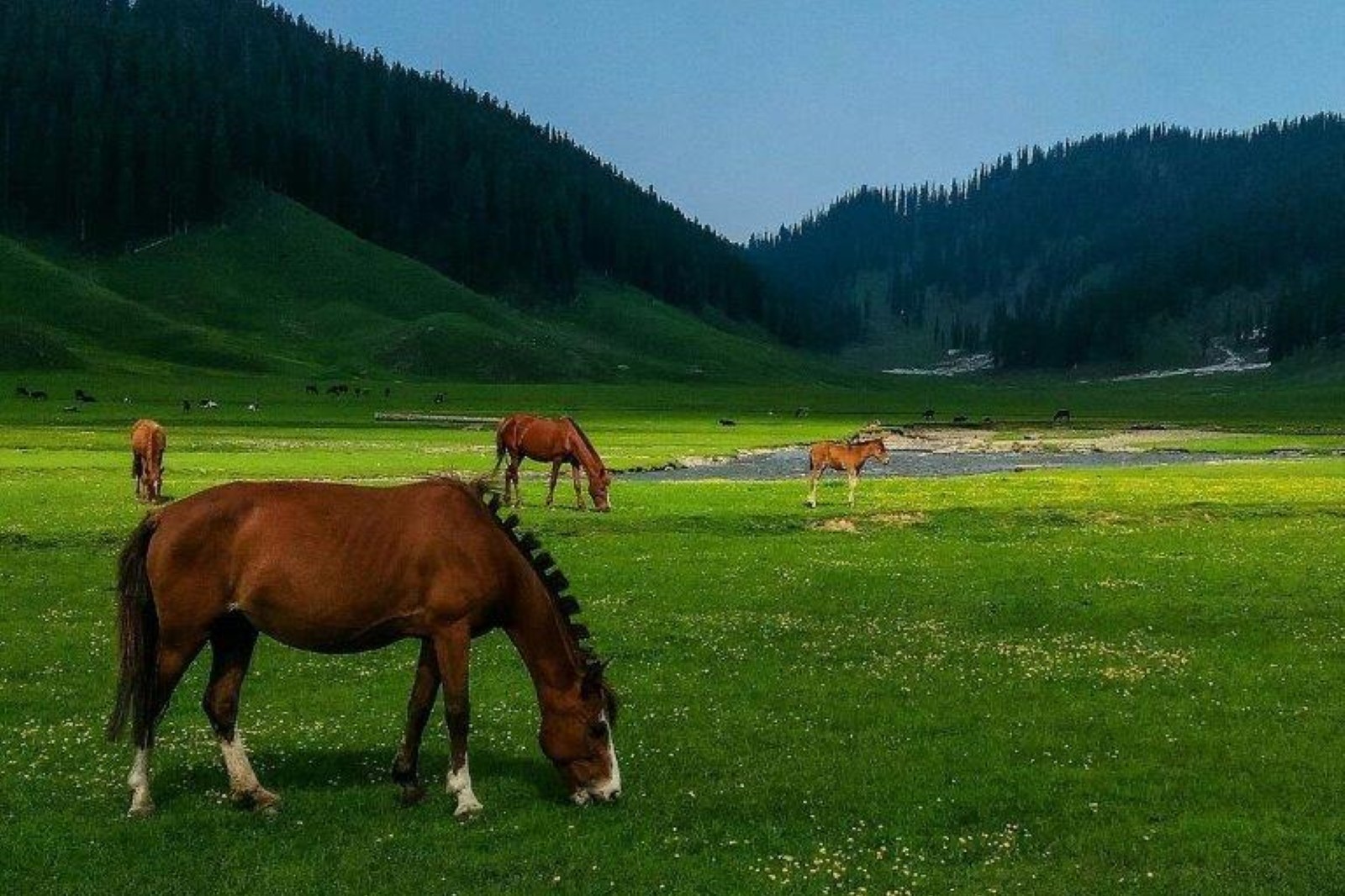 Bangus Valley Kashmir