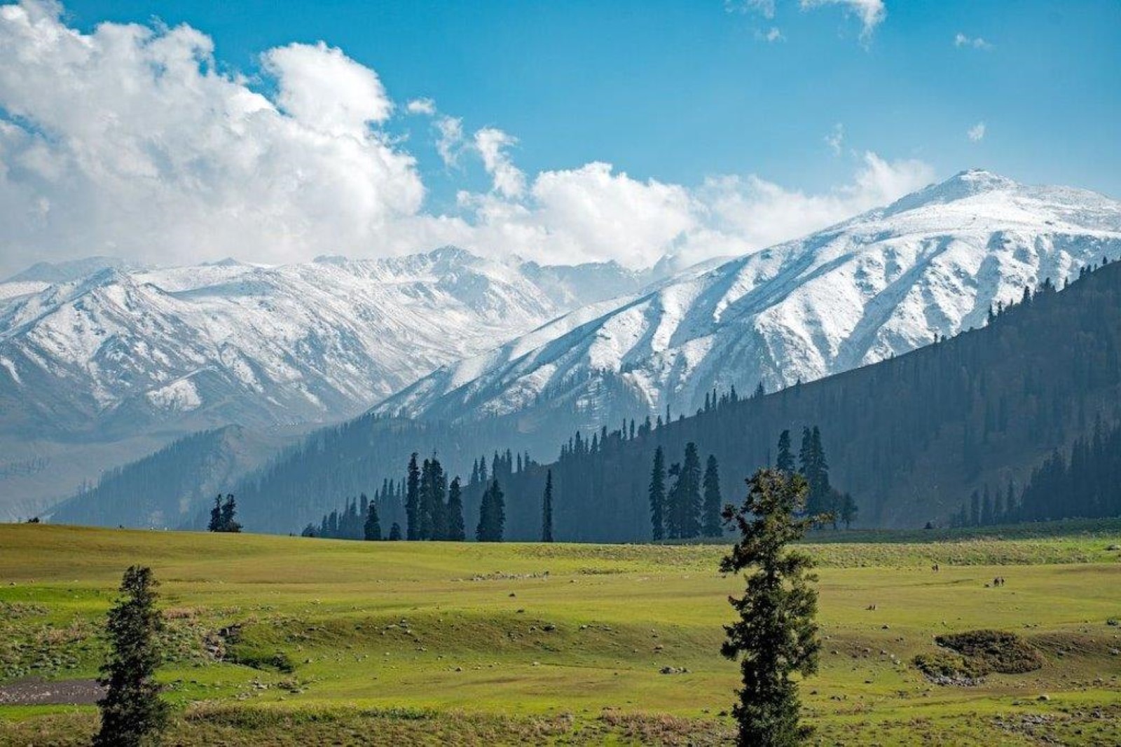 Gulmarg Kashmir