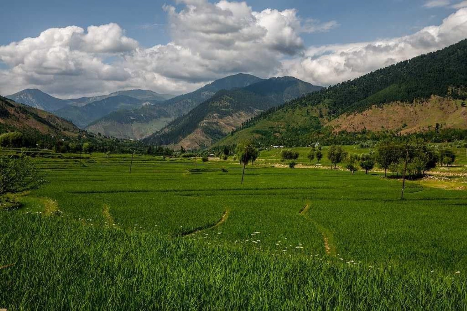 Lolab Valley Kashmir