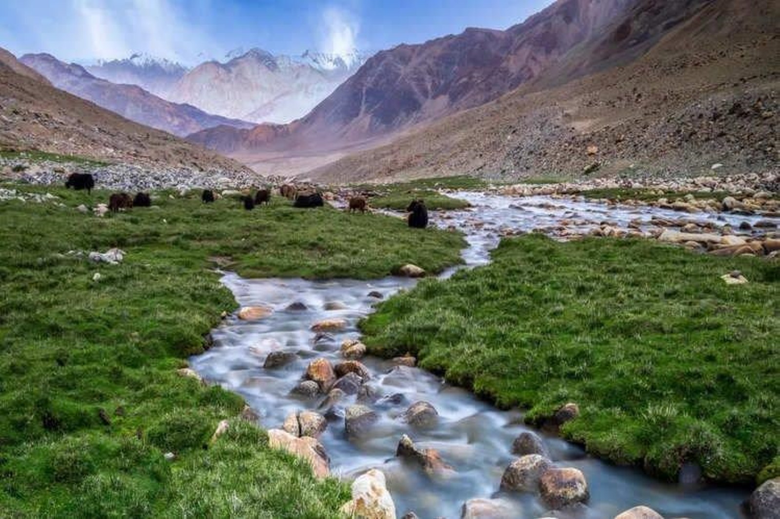 Nubra Valley Ladakh