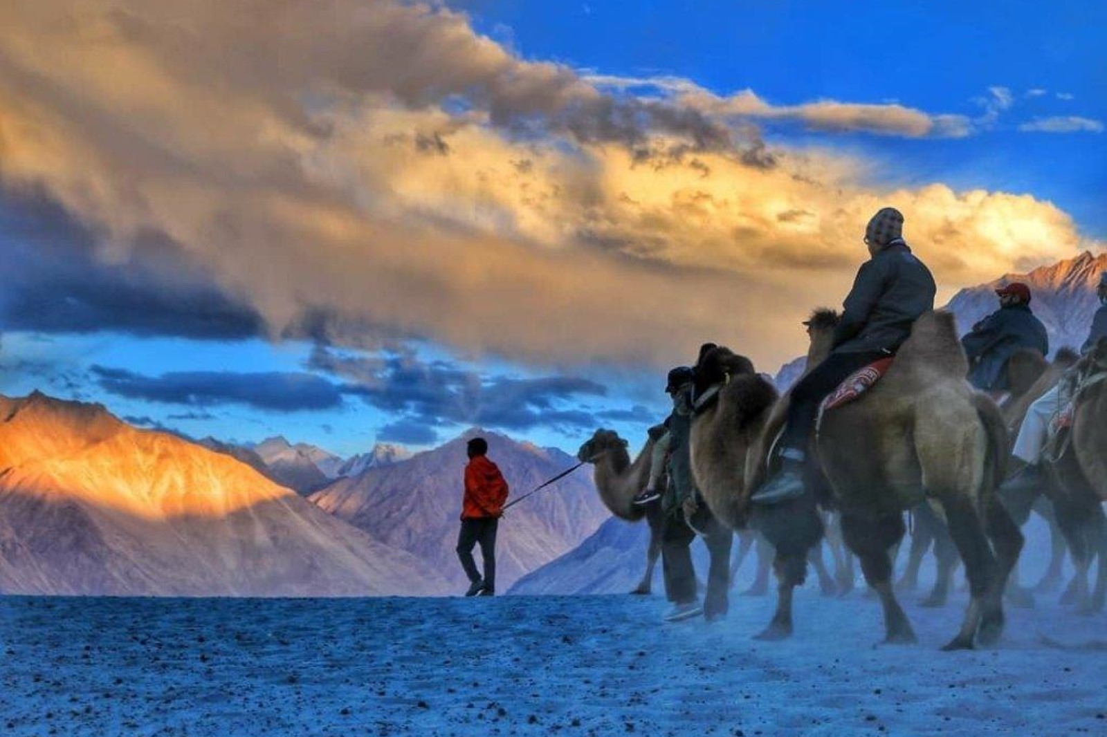 Nubra Valley Ladakh