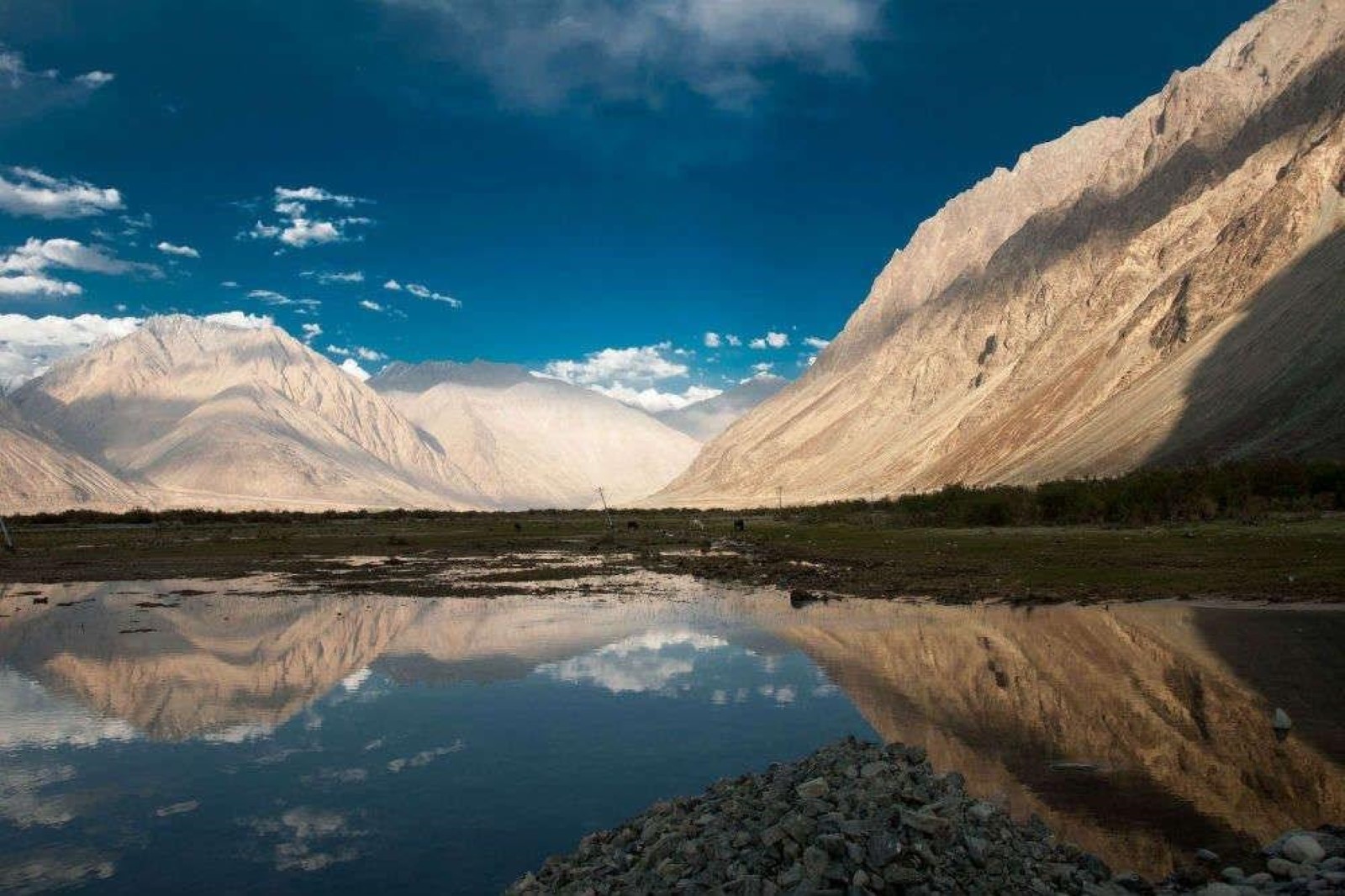 Pangong Lake Ladakh