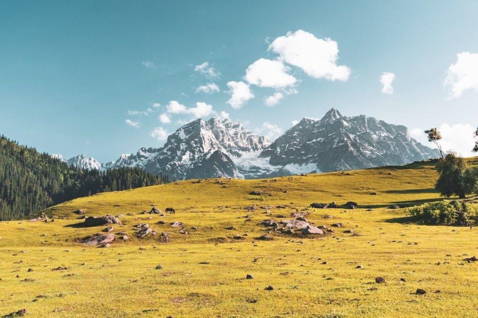 Sonmarg Kashmir